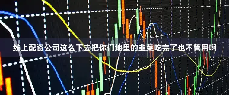 线上配资公司这么下去把你们地里的韭菜吃完了也不管用啊